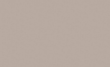 Серые обои в прихожую Bernardo Bartalucci Artadi 84288-13