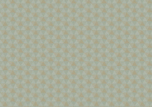 Sirpi Jaipur J30 6833