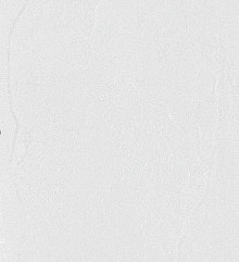 Обои для гостиной Bernardo Bartalucci Gaga  84284-15