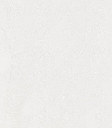 Обои для гостиной Bernardo Bartalucci Gaga  84284-17