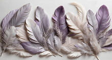 Сиреневые 3D обои Design Studio 3D Feathers AG-FT-005